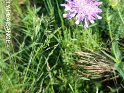 Le Tour du Cantal par Eric