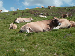 Le Tour du Cantal par Eric