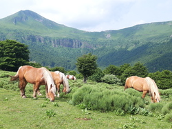 Le Tour du Cantal par Eric