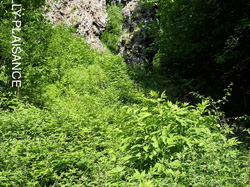 Le Tour du Cantal par Eric