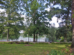 Les Parcs du Plessis-Robinson par Françoise