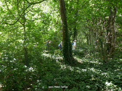Les Parcs du Plessis-Robinson par Françoise