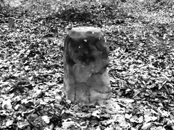 Livry sur Seine par Jacques