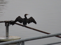 Livry sur Seine par Jacques