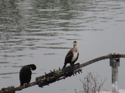 Livry sur Seine par Jacques