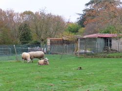 Livry sur Seine par Jacques