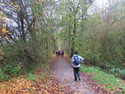 Livry sur Seine par Jacques