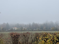 Livry sur Seine par Sylvie