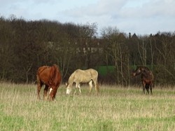 Lizy sur Ourcq par Jacques