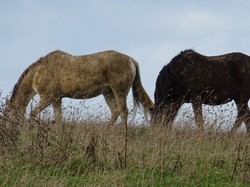Lizy sur Ourcq par Jacques