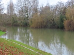 Maisons-Lafitte  -  Poissy