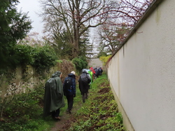 Maisons-Lafitte  -  Poissy
