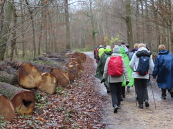 Maisons-Lafitte  -  Poissy