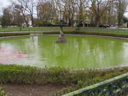 Maisons-Lafitte  -  Poissy