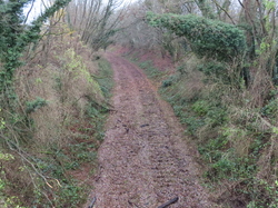 Maisons-Lafitte  -  Poissy