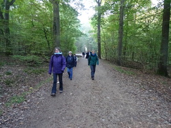 Marche Tonique à Ecouen par Jacques