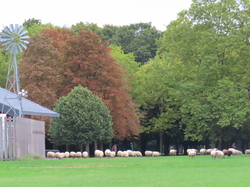 Marche tonique au parc Georges-Valbon par Jacques
