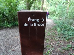 Marche Tonique à Rentilly