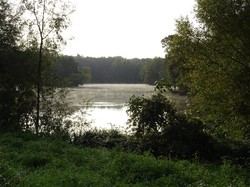 Marche Tonique à Rentilly