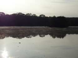 Marche Tonique à Rentilly