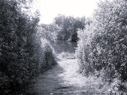 Marche Tonique à Rentilly