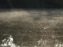 Marche Tonique à Rentilly