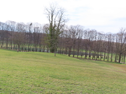 Marly - Saint Nom La Bretèche