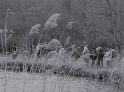 Marolles en Brie par Jacques
