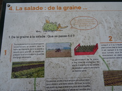 Marolles en Brie par Jacques