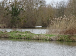 Marolles en Brie par Jacques