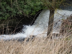 Marolles en Brie par Jacques