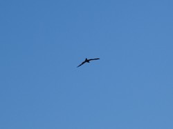 Montceaux les Meaux par Jacques