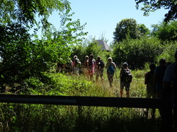 Montceaux les Meaux par Jacques