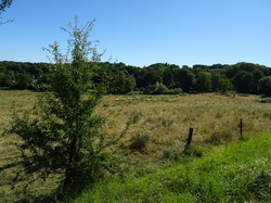 Montceaux les Meaux par Jacques