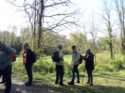 Montgé en Goële par Sylvie