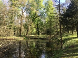 Montgé en Goële par Sylvie
