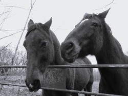 Moussy le Neuf par Jacques