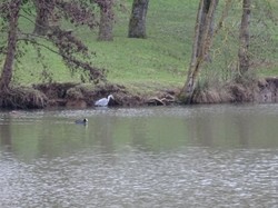 Moussy le Neuf par Jacques