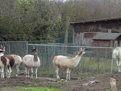 Moussy le Neuf par Jacques