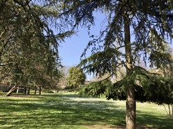 Nogent-Neuilly par Sylvie