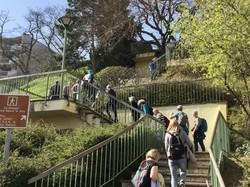 Nogent-Neuilly par Sylvie