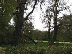 Noisiel-Torcy par Sylvie