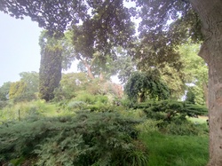 Parc Monceau par Dominique