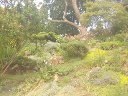 Parc Monceau par Dominique