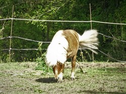 Presles-Liverdy par Jacques