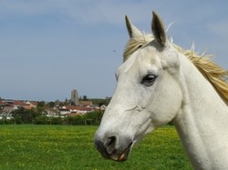 Presles-Liverdy par Jacques