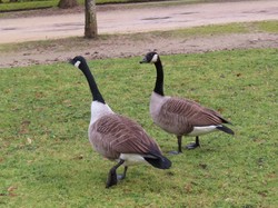 Rambouillet par Jacques