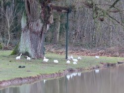 Rambouillet par Jacques