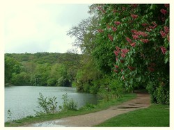 Rando-challenge à Marnes la Coquette