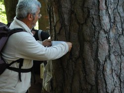 Rando-Challenge de Dourdan